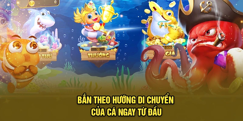 Bắn theo hướng di chuyển của cá ngay từ đầu