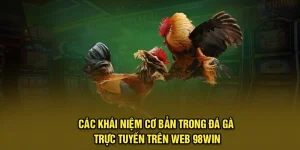 Các Khái Niệm Cơ Bản Trong Đá Gà Trực Tuyến Trên Web 98win