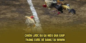 Chiến Lược Đá Gà Hiệu Quả Giúp Thắng Cược Dễ Dàng Tại 98WIN
