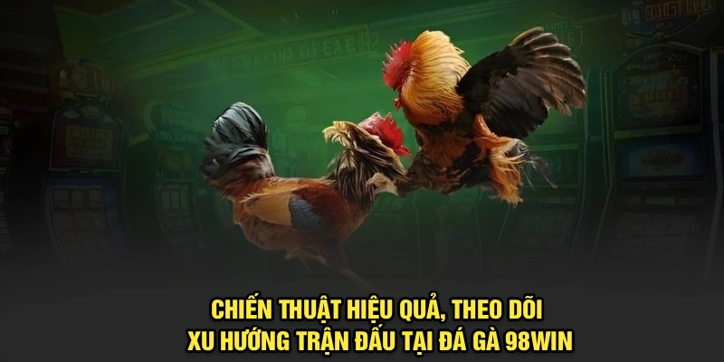 Chiến thuật hiệu quả, theo dõi xu hướng trận đấu tại Đá Gà 98Win