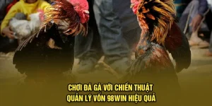 Chơi Đá Gà Với Chiến Thuật Quản Lý Vốn 98Win Hiệu Quả