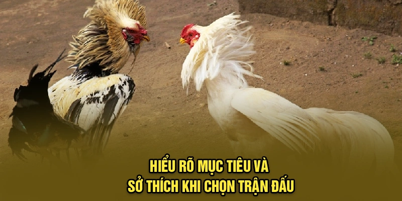 Hiểu rõ mục tiêu và sở thích khi chọn trận đấu