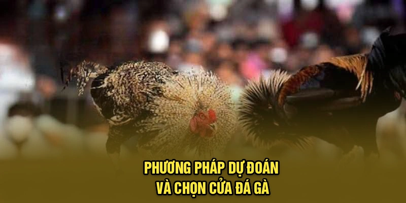 Phương pháp dự đoán và chọn cửa đá gà