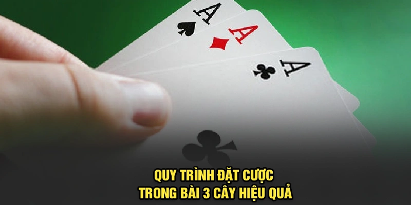 Quy trình đặt cược trong bài 3 cây hiệu quả