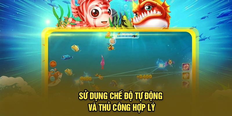 Sử dụng chế độ tự động và thủ công hợp lý
